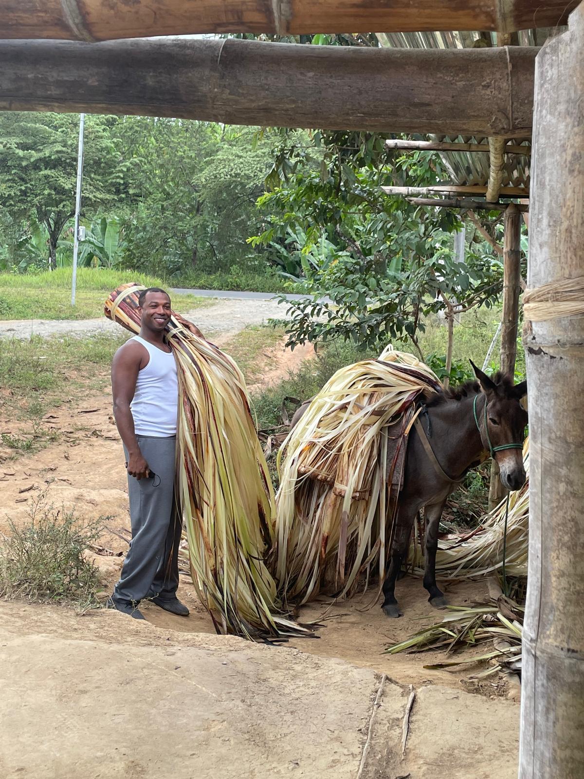 abaca fiber in a truck