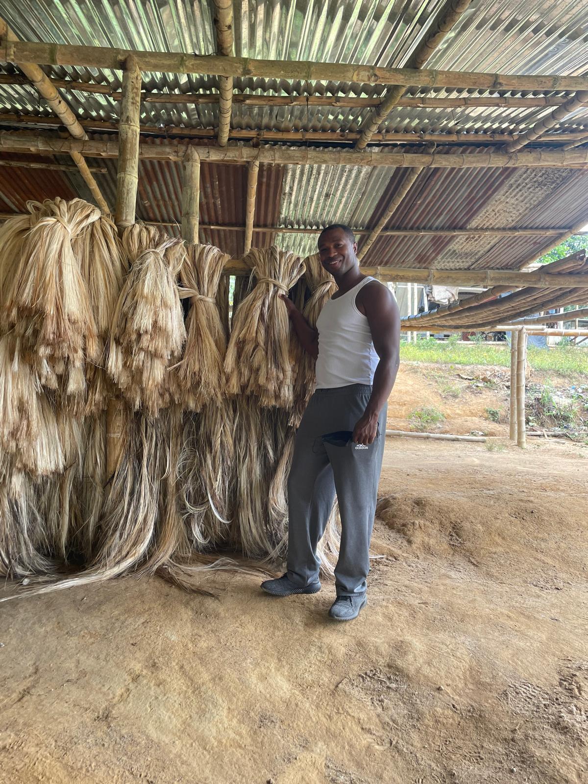 abaca fiber with one person next to it