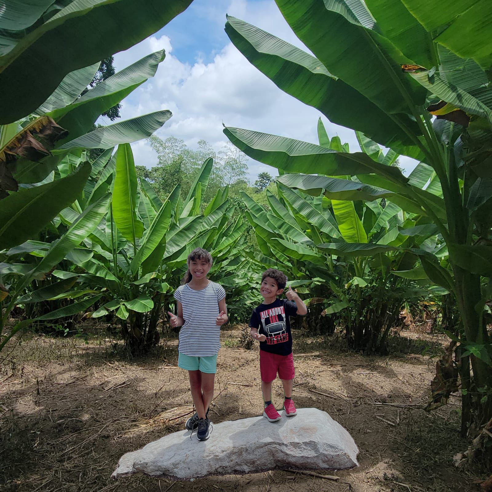 two kids standing on a rock in a farm